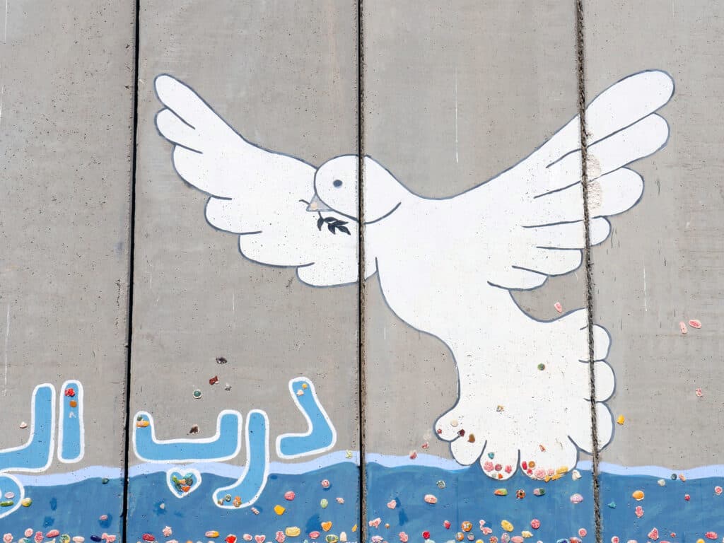 fredsduva på separationsmur