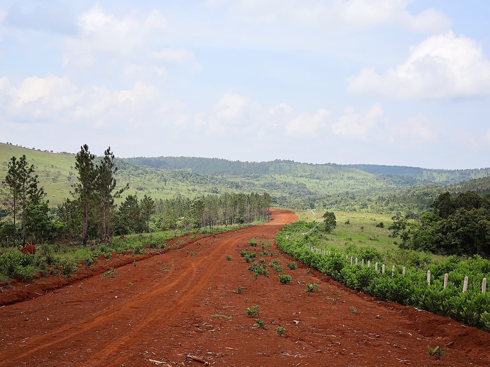 En väg av jord leder mot ett grönt landskap.