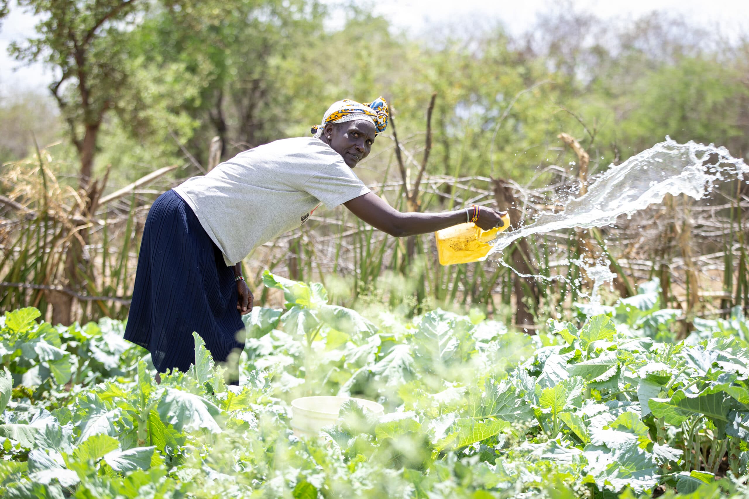 Kvinna i Kenya vattnar sina grödor.