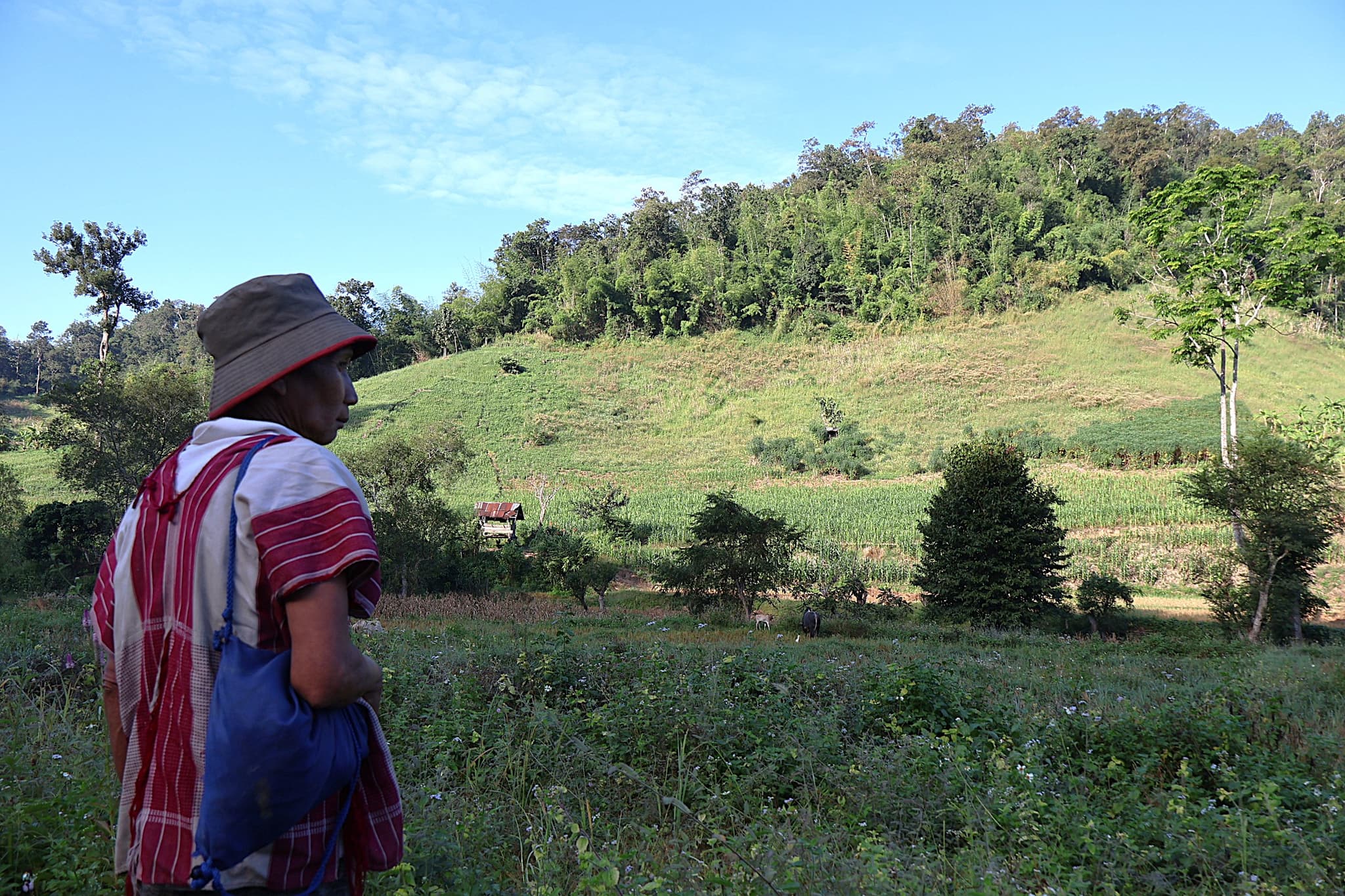 Chaiyapol gazes over the land between Ban Huai Rai and Huai Ngu, where traditions and livelihoods are deeply rooted in the heart of this area.