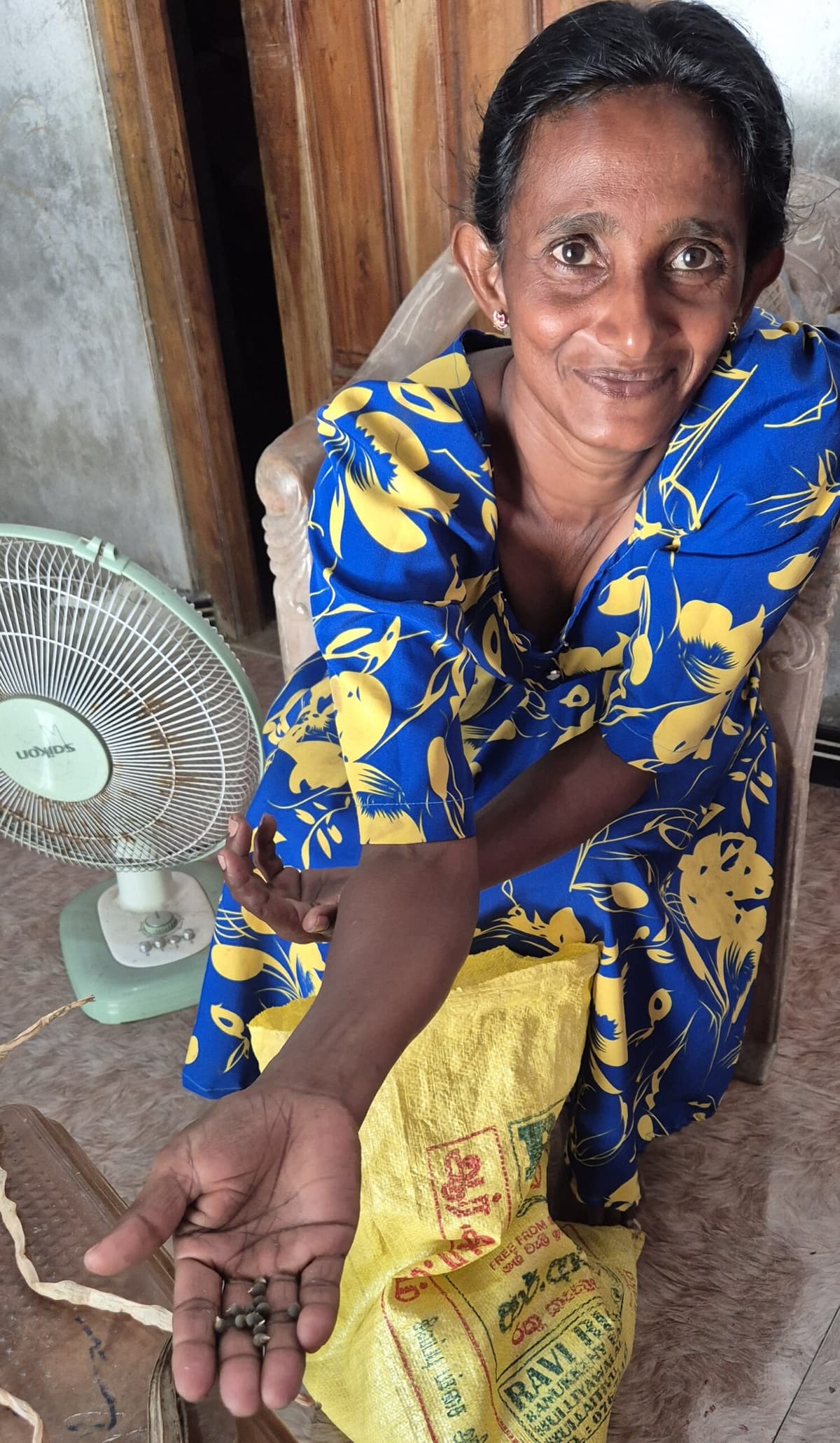 A portrait of South Asian woman in a blue and yellow dress showing seeds in her right hand
