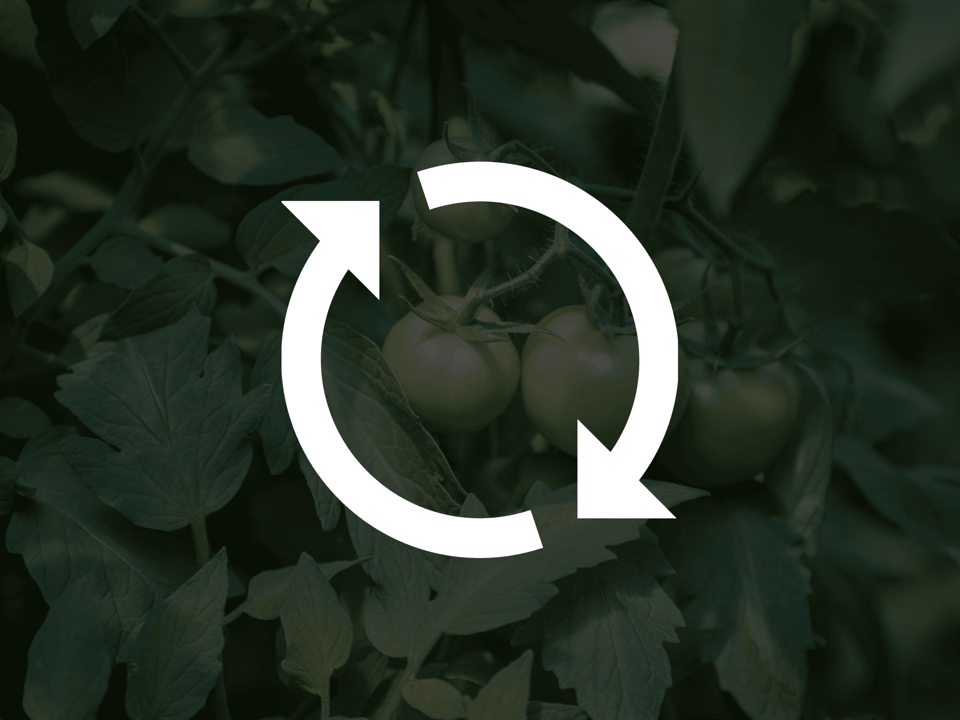 En grafisk symbol som visar två pilar i en cirkel, symbol för hållbarhet.