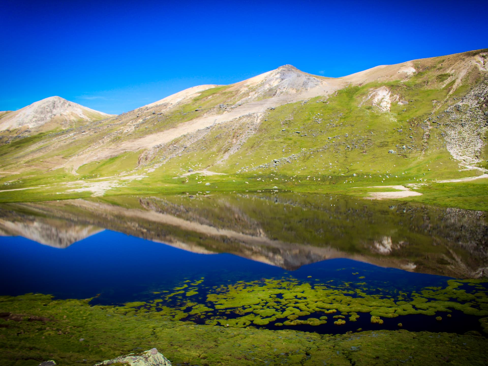 Foto: Laura Ardila Berg oh klarblått vatten