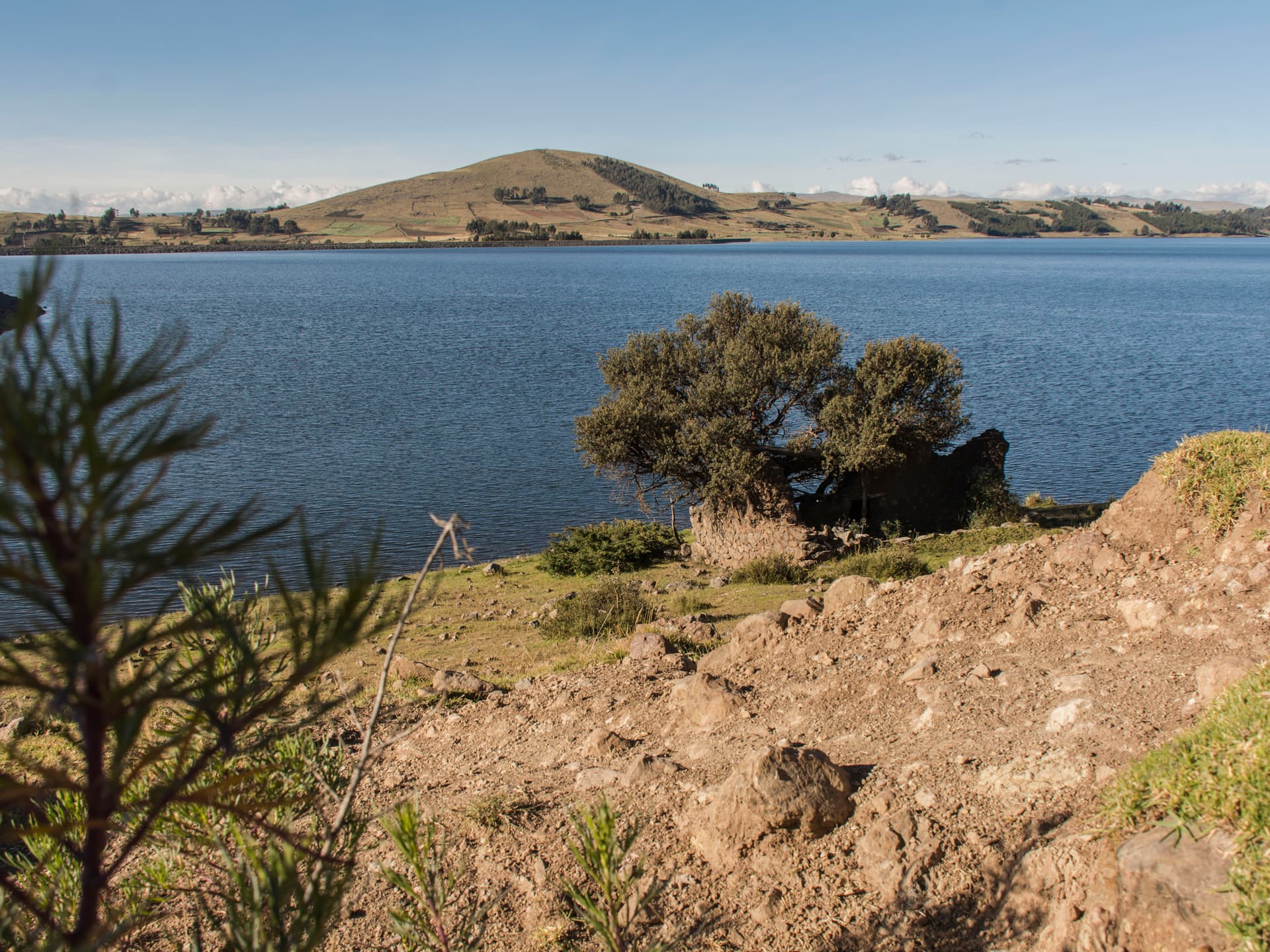 Foto: Laura Ardila En damm med vatten