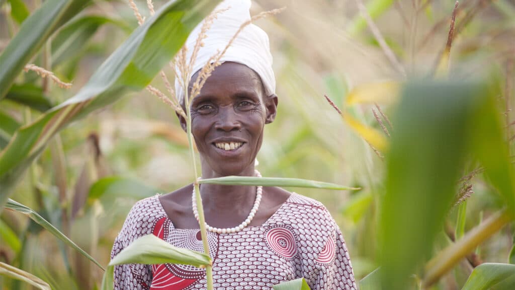 leende kvinna står mitt i sin majsodling