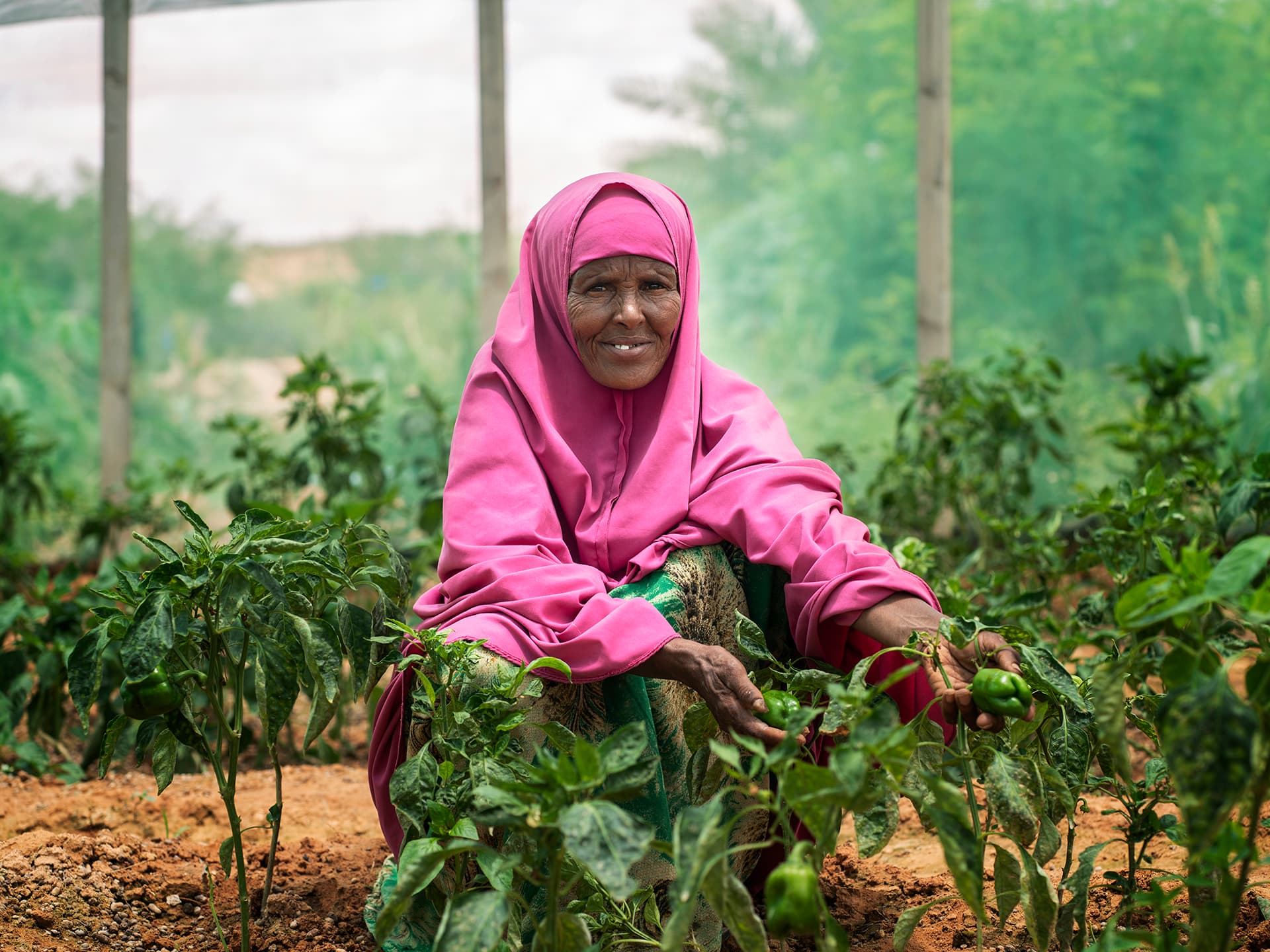 Foto: Fredrik Lerneryd
