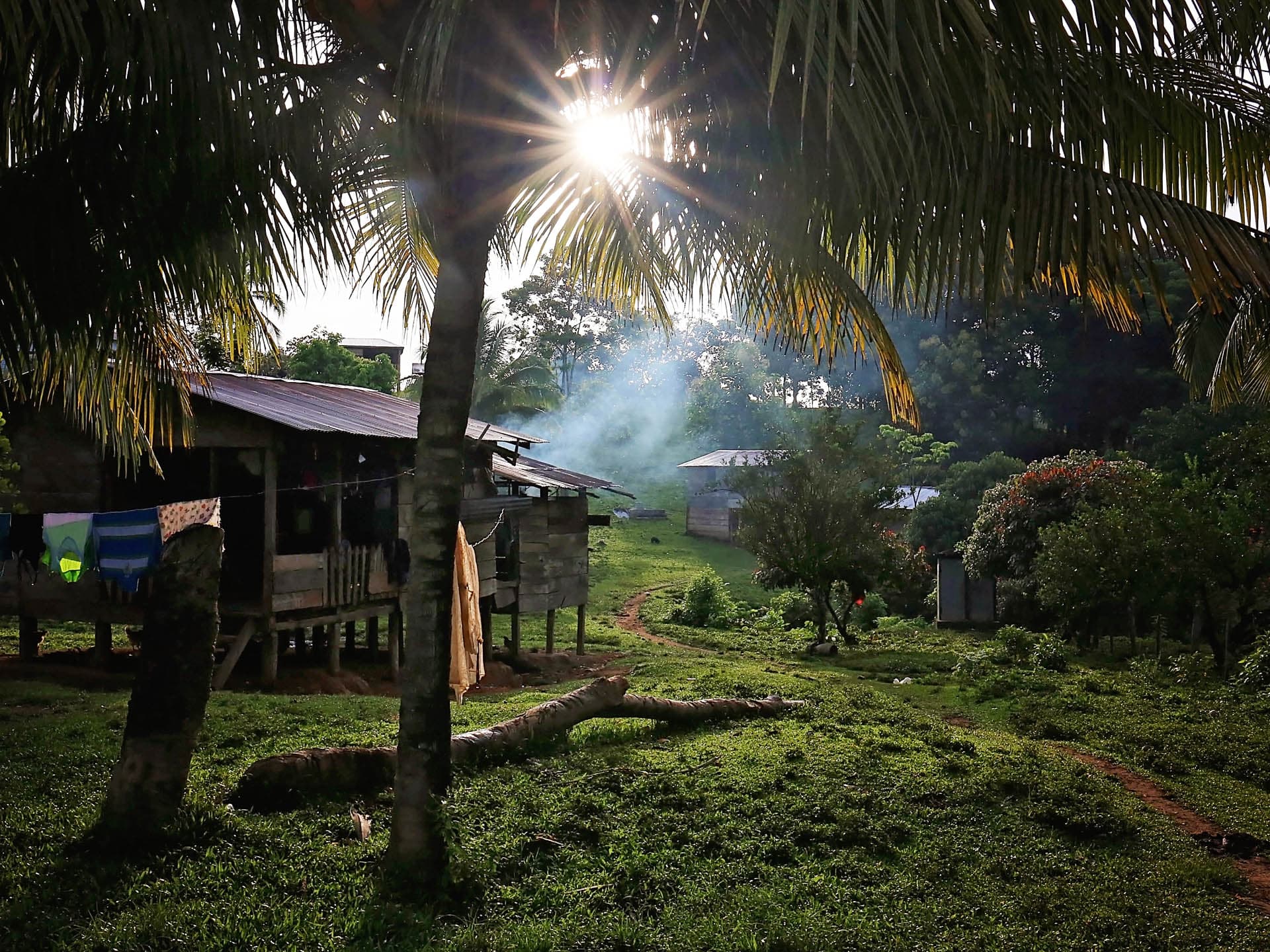 Foto: Daniel Ogalde En miljöbild med gröna träd och ett litet trähus.