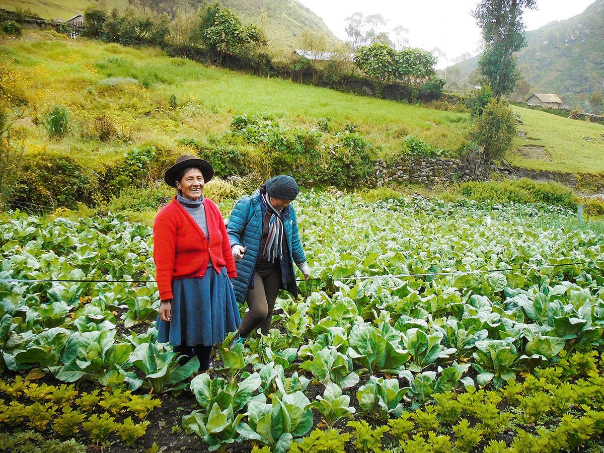 Photo: Jesús Alberto Two Peruvian farmers standing in a large green field
