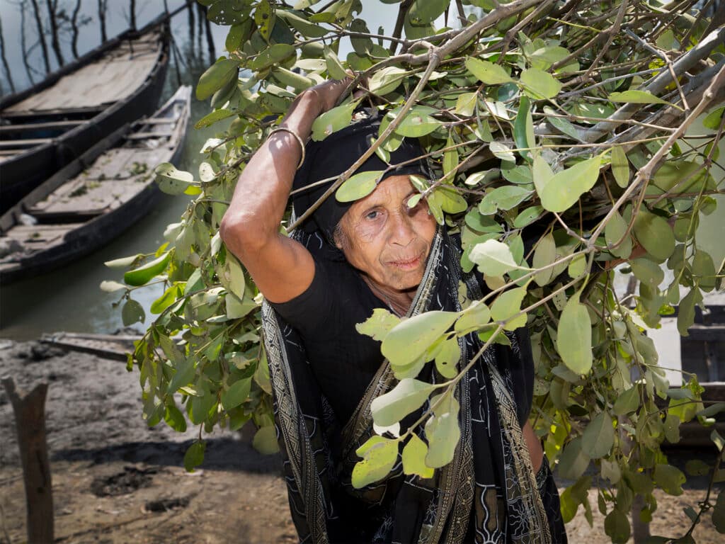 Kvinna bär på grenar över axeln