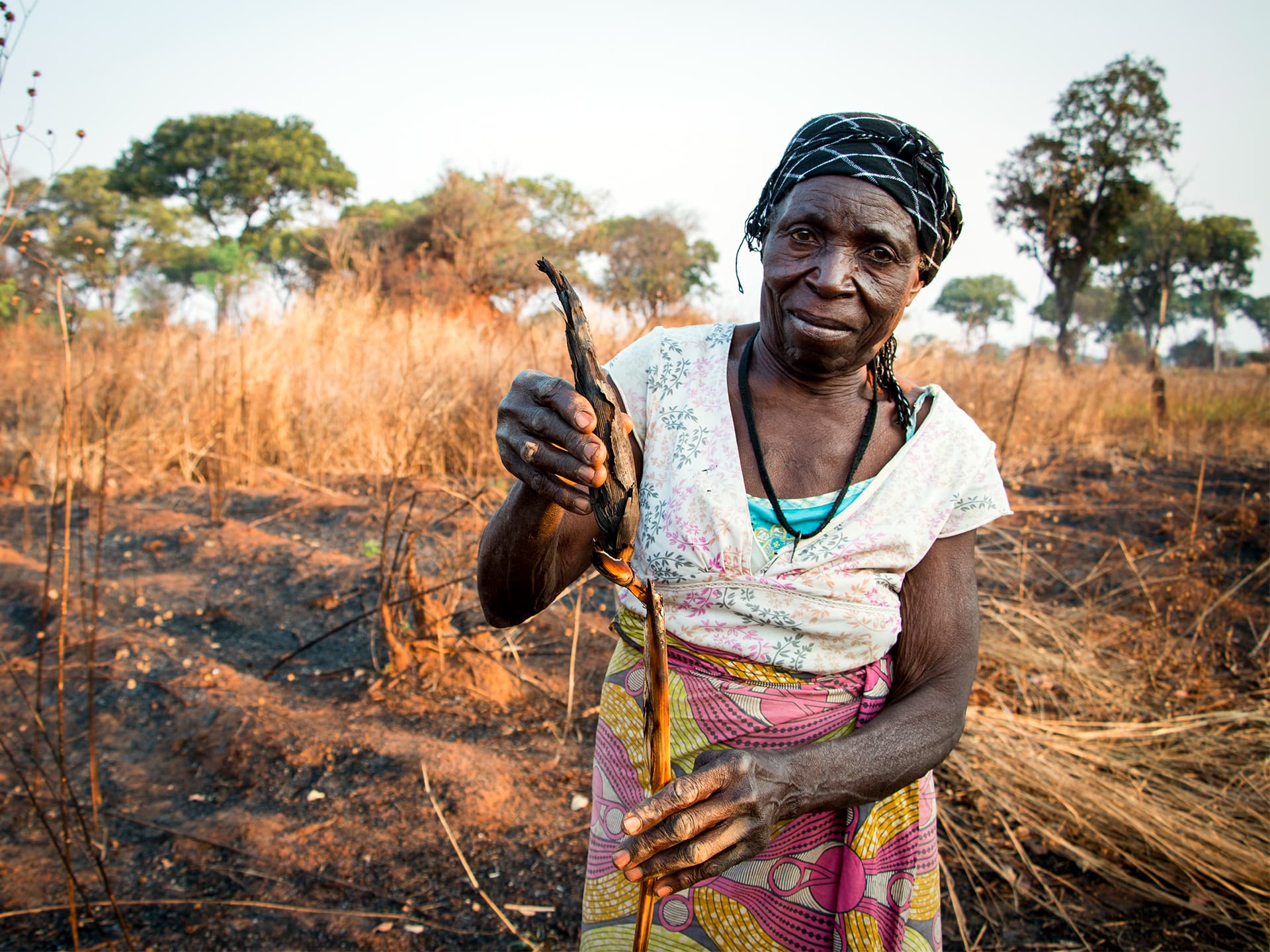 Enna Chembe från nordvästra Zambia visar upp en majskolv