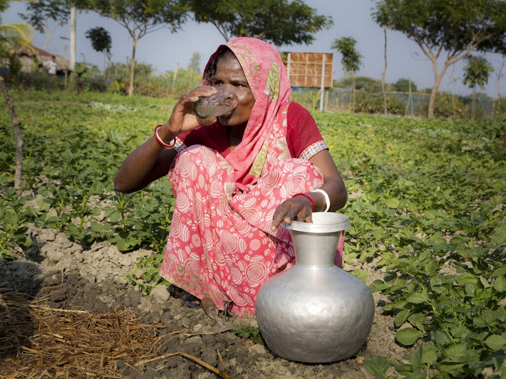 Kvinna på ett fält dricker vatten