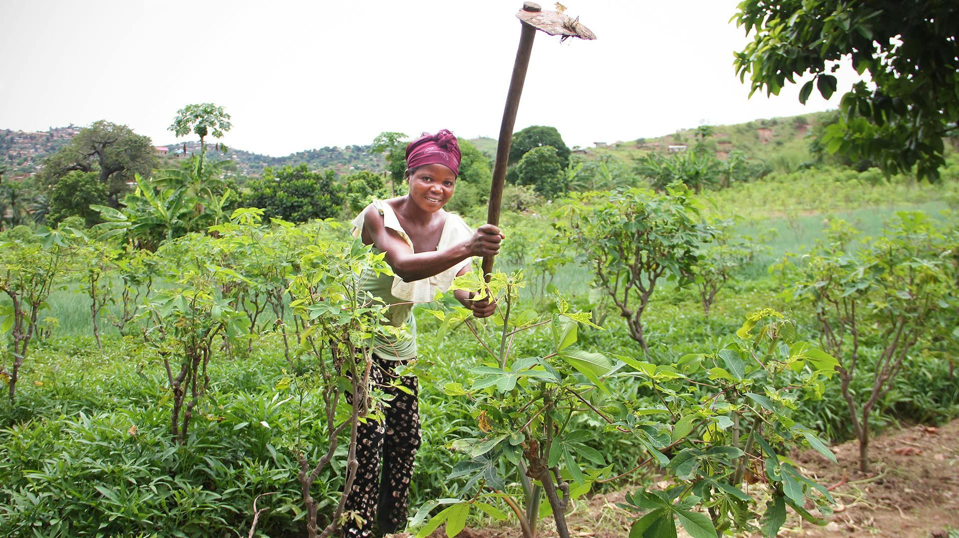 En kvinna med en hacka på en åker med växtlighet.