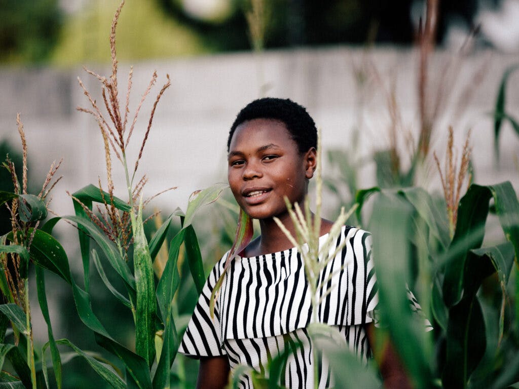 En flicka i ett majsfält tittar in i kameran