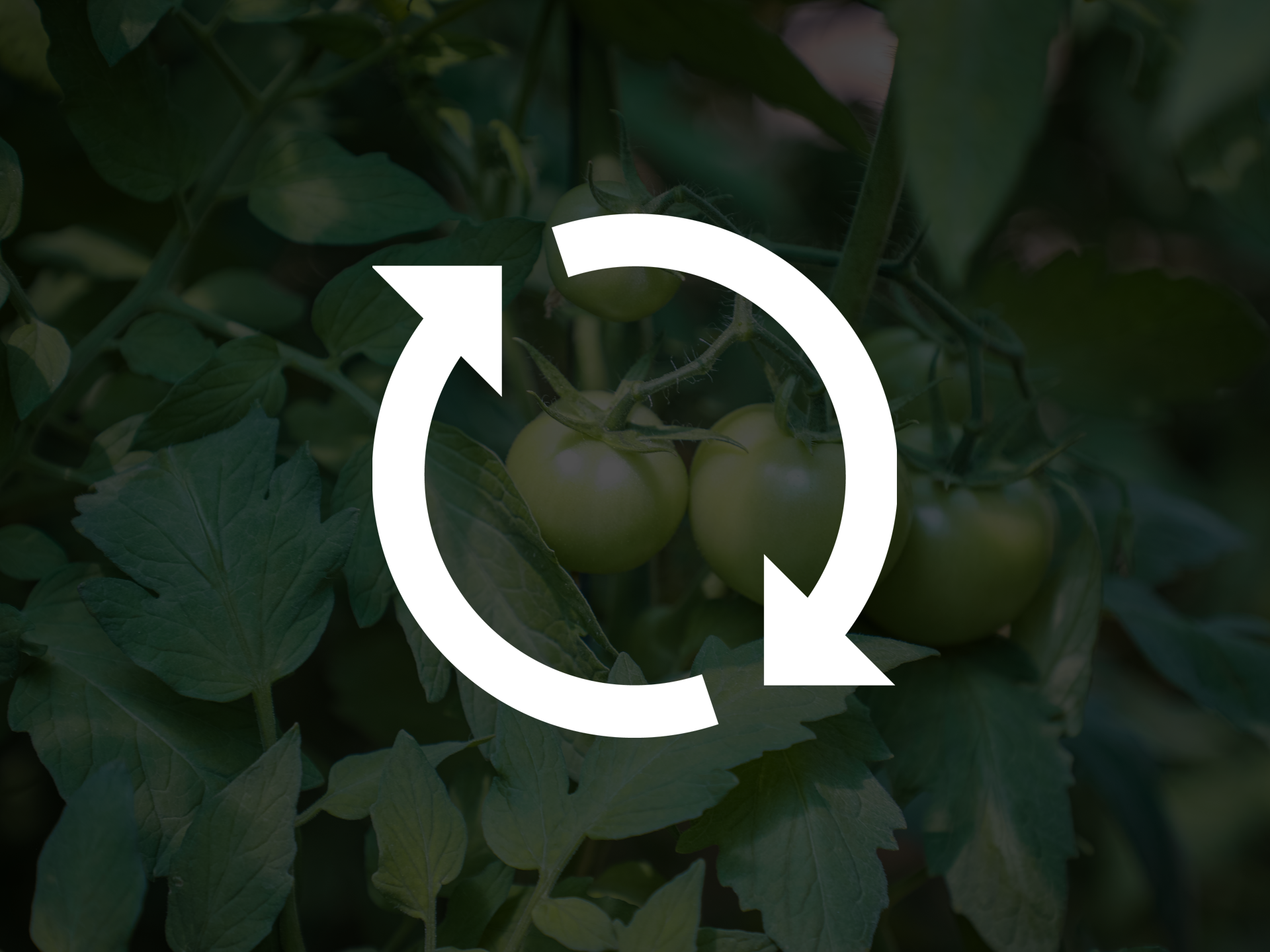 En grafisk symbol som visar två pilar i en cirkel, symbol för hållbarhet.