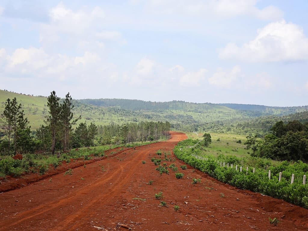 En väg av jord leder mot ett grönt landskap.