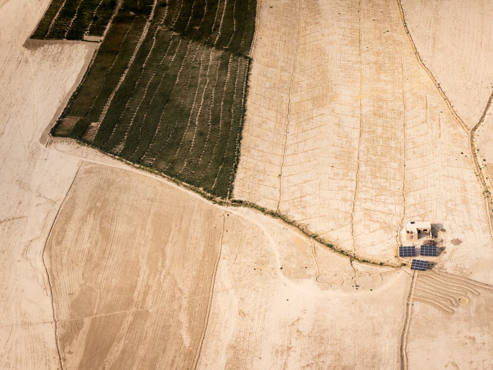 A field with plants in the dessert in Afghanistan, seen from above. A field with plants in the dessert in Afghanistan, seen from above.