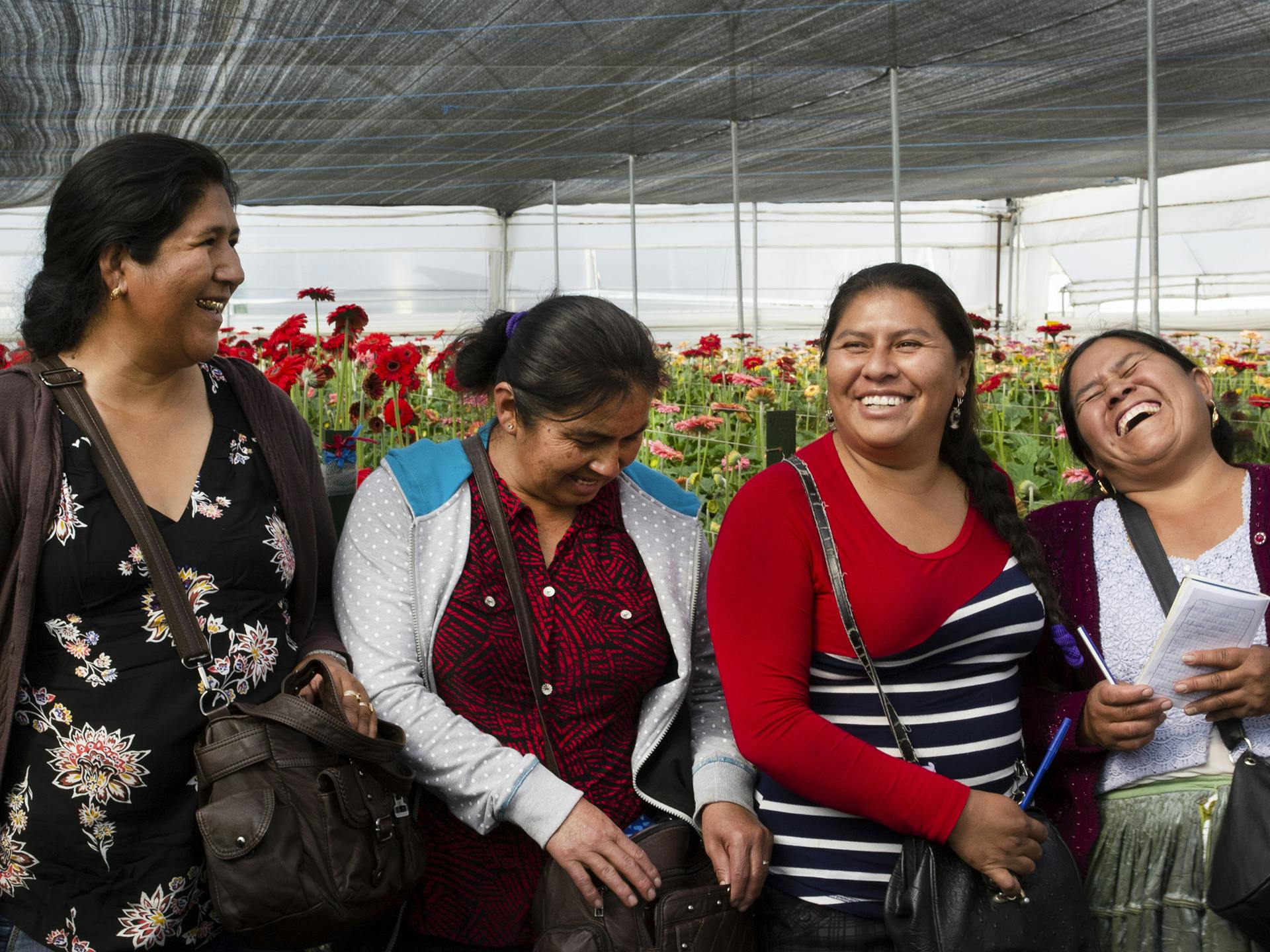 Women in Bolivia standing in a greenhouse