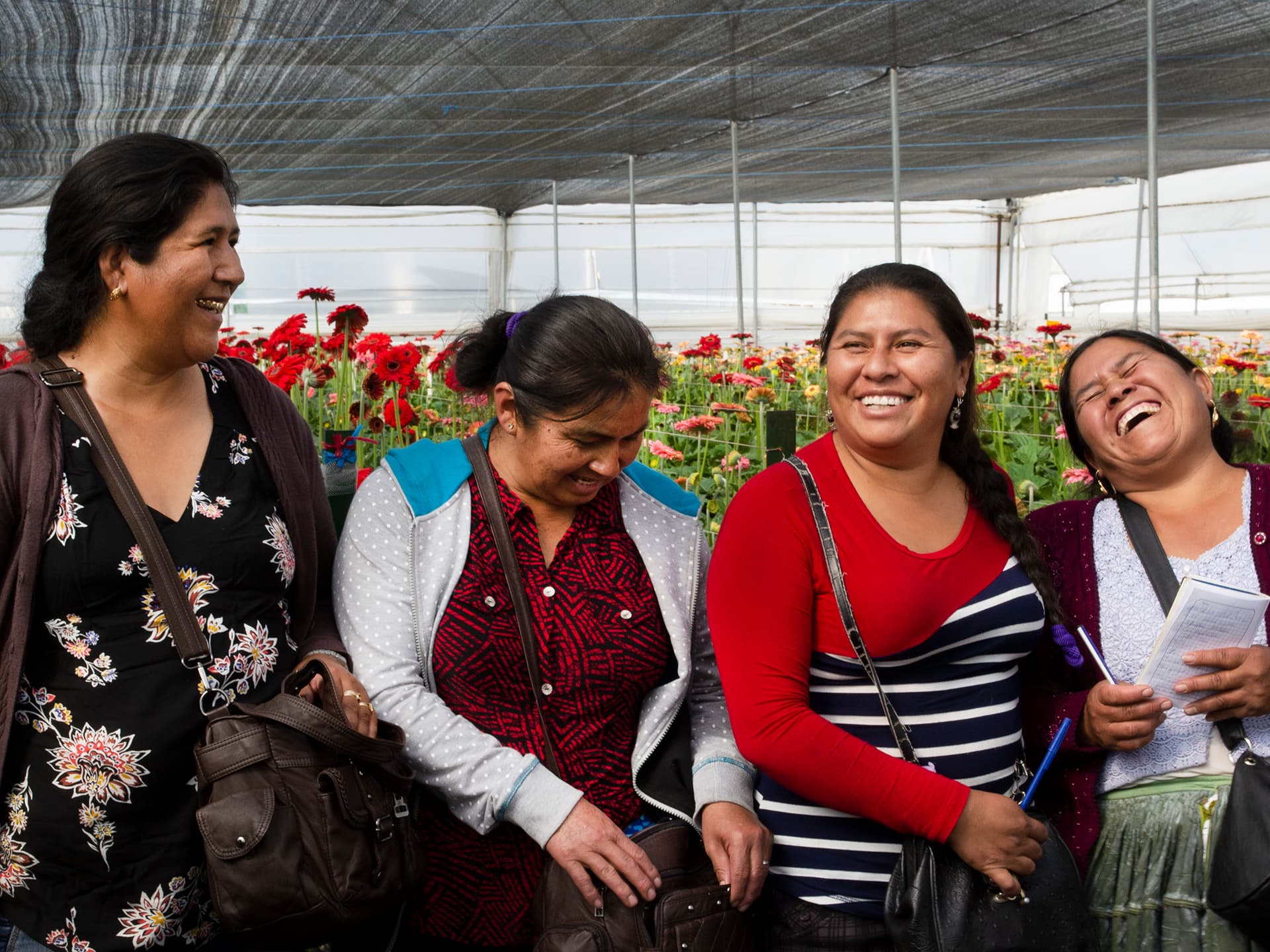 Women in Bolivia standing in a greenhouse