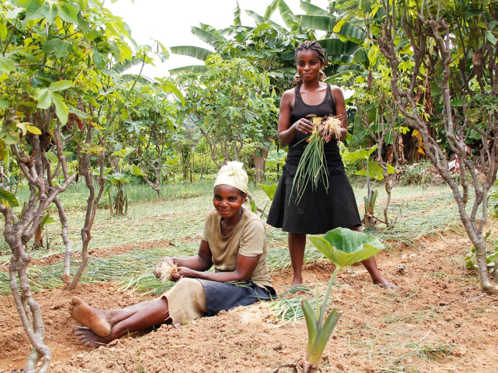 One woman sitting and one woman standing in a field with green trees surrounding them.