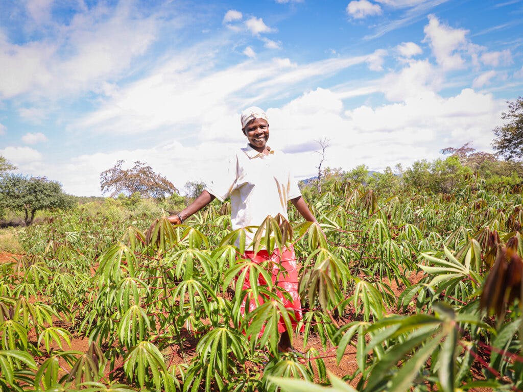 A Kenyan farmer standing in a green field.