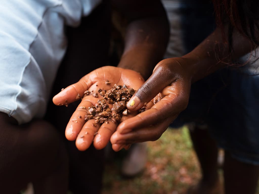 Two hands holding small pieces of gold and soil.