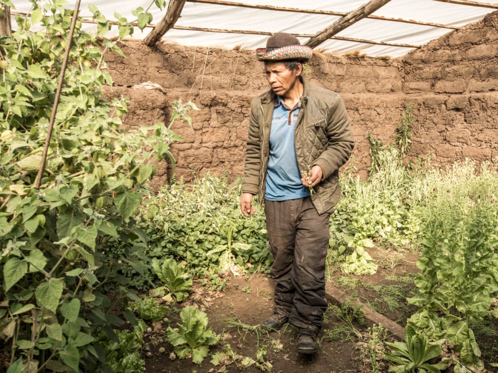 Greenhouse with a man inside