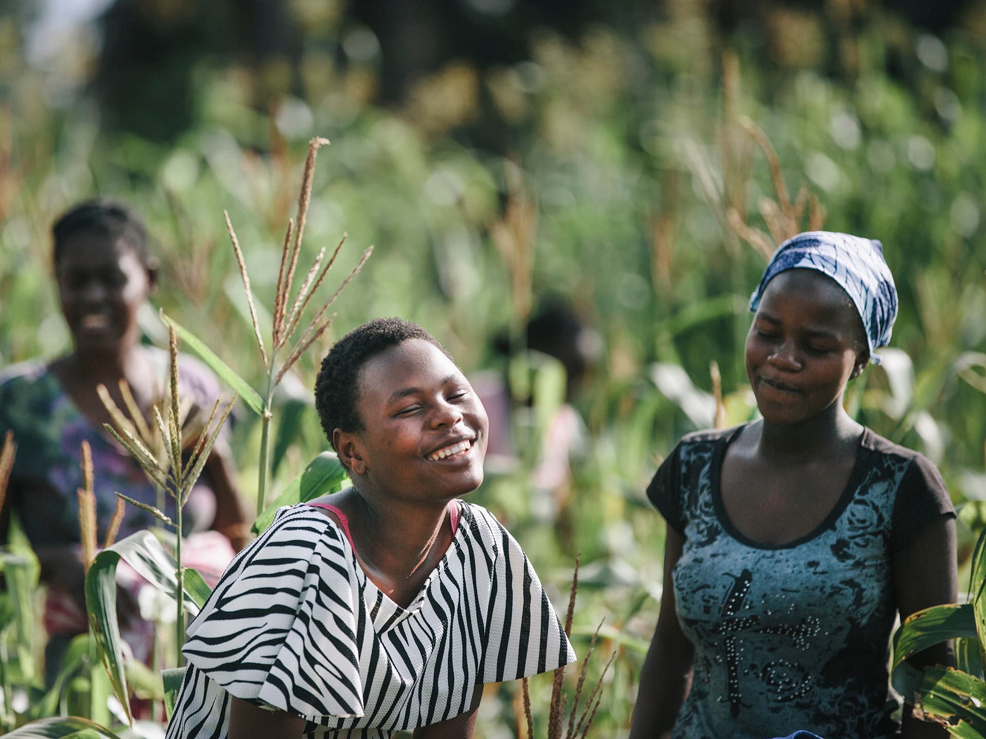 Three women standing in a field with high crops.