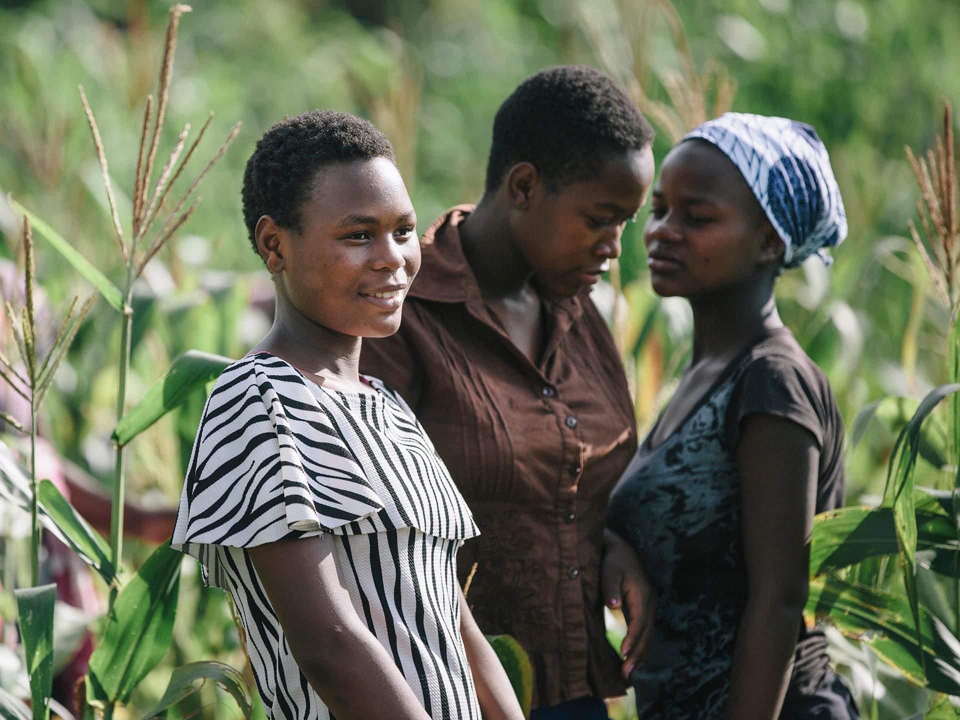 Three Zimbabwean women standing in a field of crops.