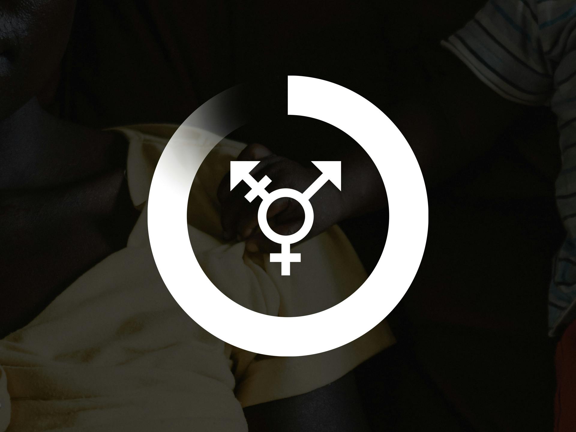 A graphic image showing the symbol of equality inside Diakonia's progress circle
