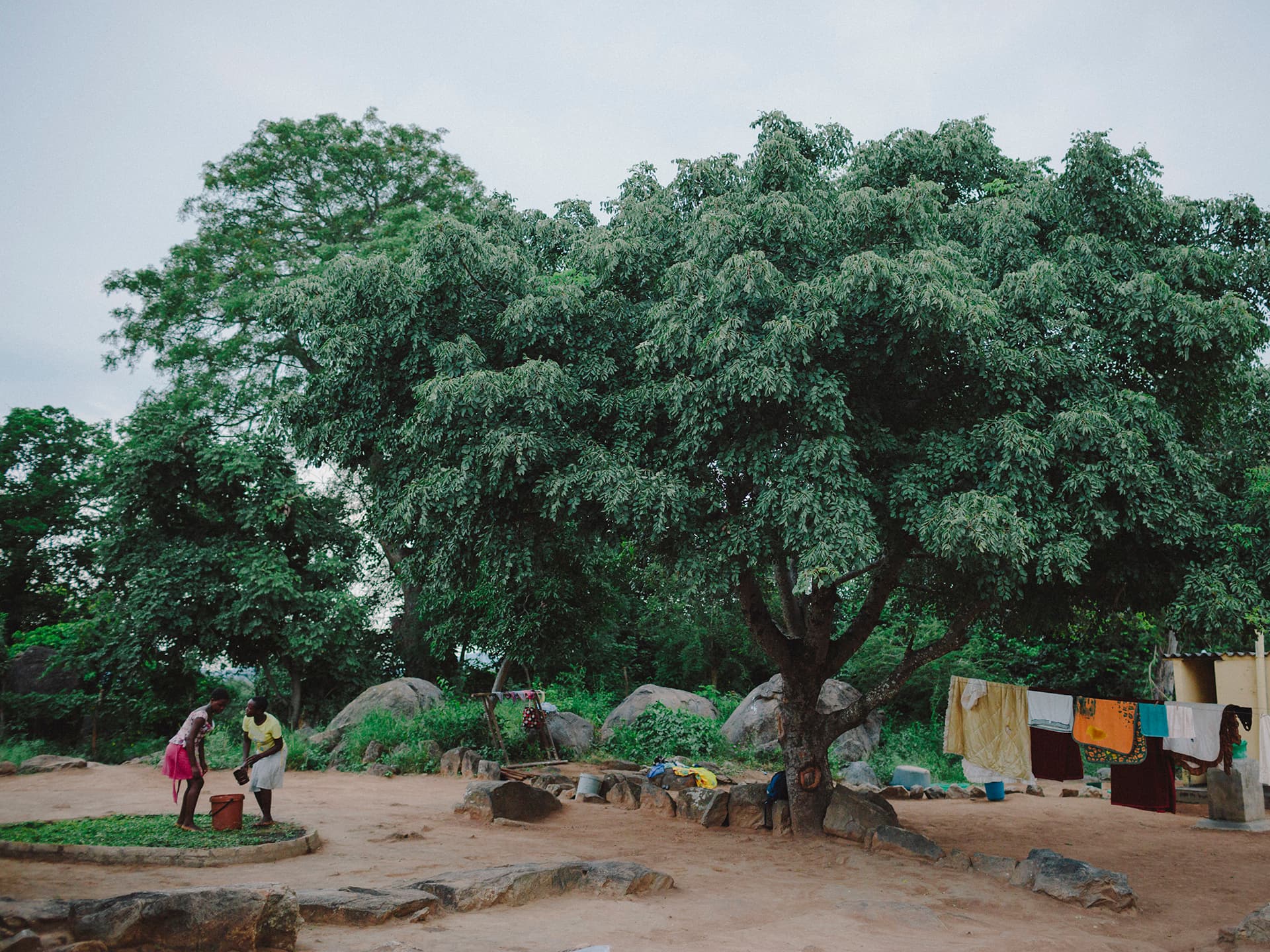 Photo: Anna Hugosson