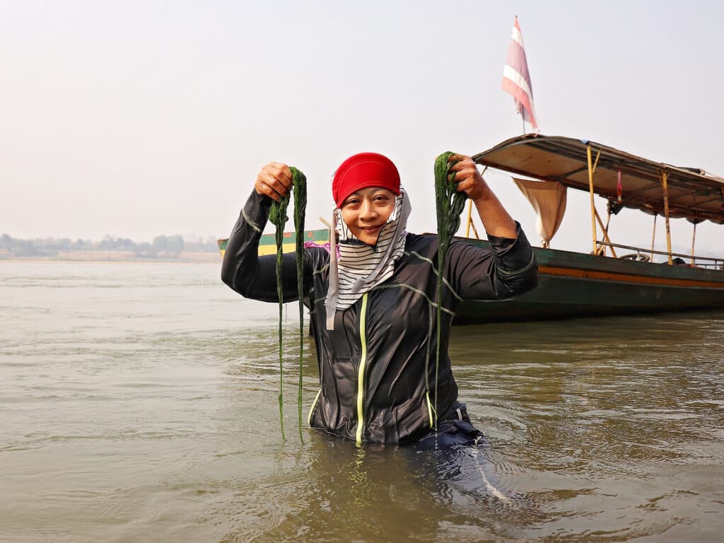 A woman wearing a scarf and a hat, standing in the water and holding up seaweed.