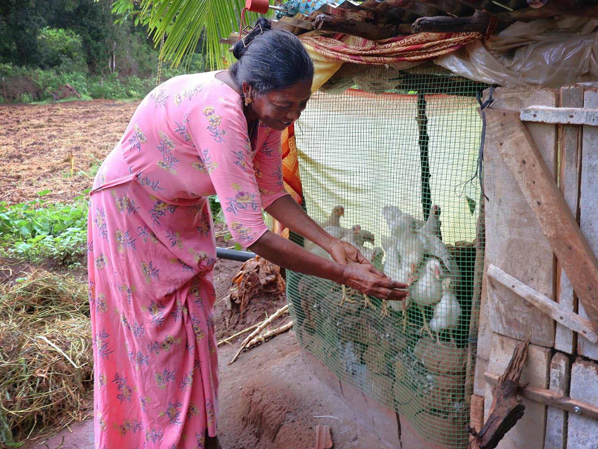 A woman in a pink dress feeding chickens.