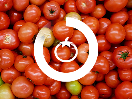 Bild på tomater
