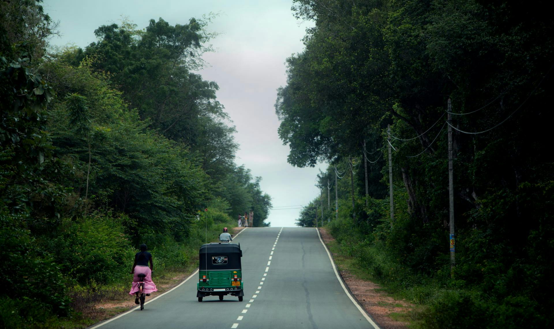 A view of a road with threes surrounding it.